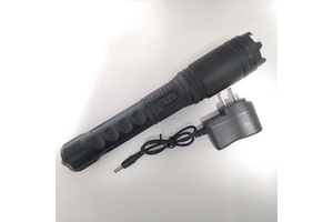 購買一款高壓電棍需要多少錢？