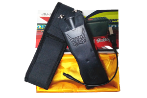 購買一款高壓電棍需要多少錢？